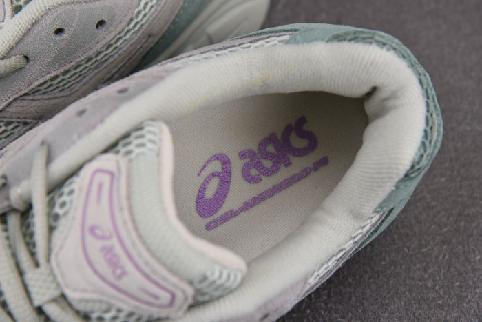 a_sics gel as25